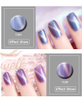 8ml / 0.27floz Shell Cat Eye Gel Polish Factory wholesale 12 colors